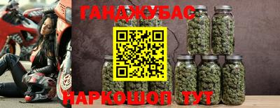 трава Кингисепп
