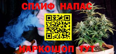 дмт Камышлов