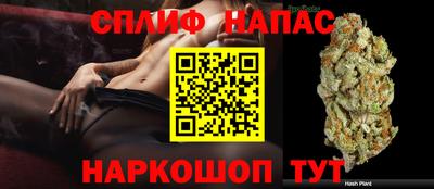 гидра Кимры